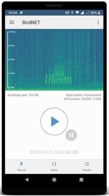 interfaccia dell'app BIRDNET con i tre passaggi registra-seleziona-mostra i risultati d'identificazione