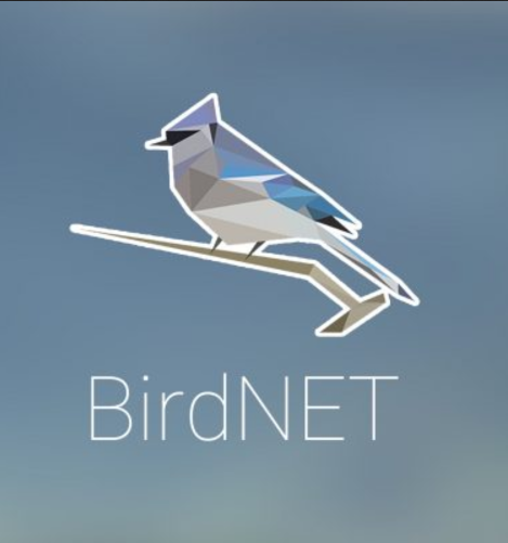 il simbolo del logotipo di BIRDNET è un uccello colorato che assomiglia a una cincia