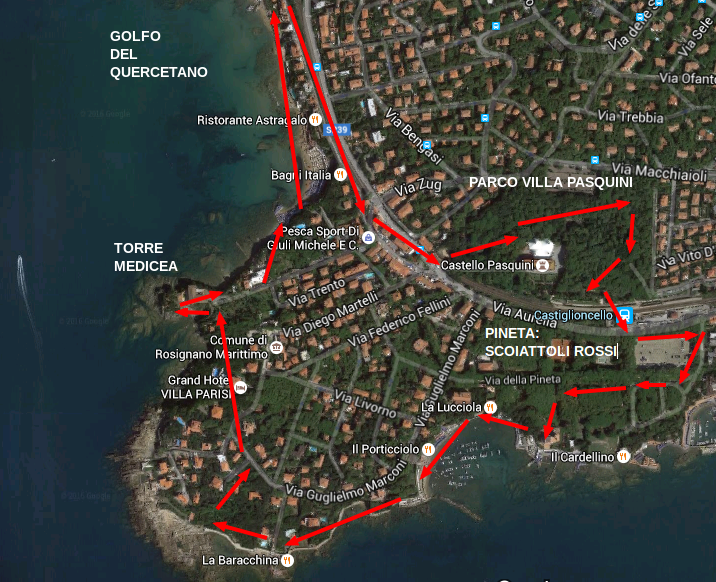 rappresentazione di un percorso circolare che permette di conoscere il territorio di Castiglioncello passando dal Golfo del Quercetano per passare alla Torre Medicea sulla costa per poi addentrarsi all'interno verso il Parco di Villa Pasquini